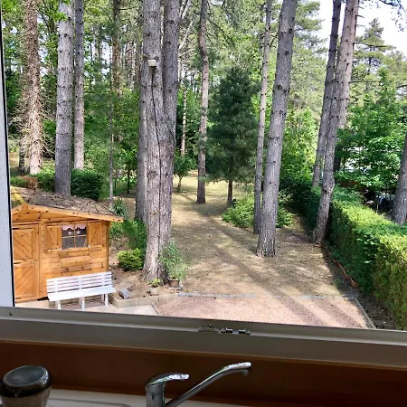 Holiday home Maison Sapinettes *