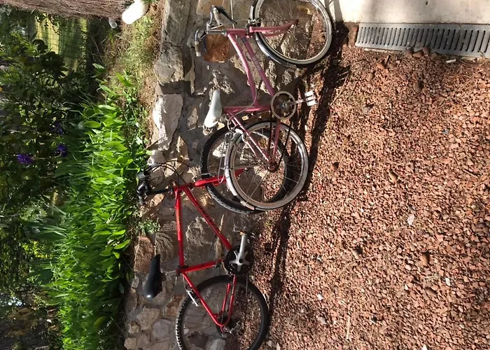 Maison Sapinettes Дом отдыха *