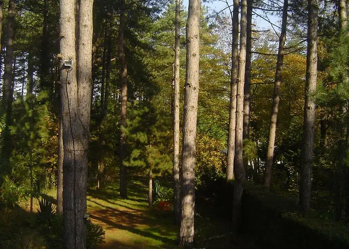 Дом отдыха Maison Sapinettes *